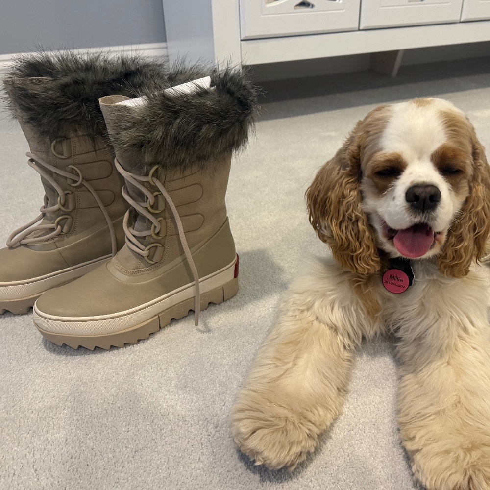 Sorel Joan of Arctic Next- size 7.5 spaniel approved